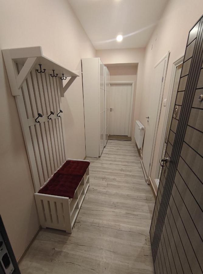 Lovely Apartment In The Heart Of The City Timisoara Bagian luar foto