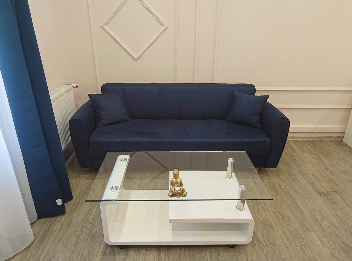 Lovely Apartment In The Heart Of The City Timisoara Bagian luar foto
